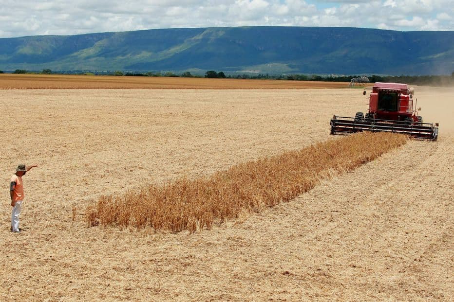 A volta do debate sobre proteção social