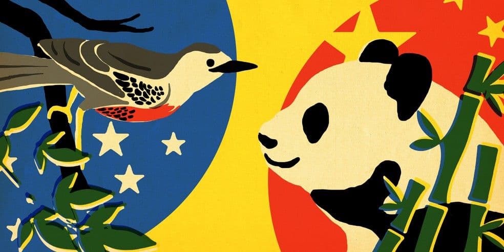 Intervenção do BC é tópica e não muda tendência do câmbio, diz Mesquita